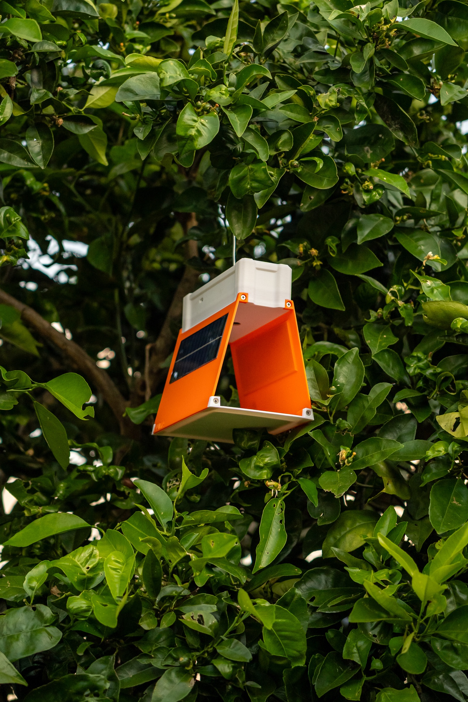 First prototype placed on a tree during a nearby outdoor test