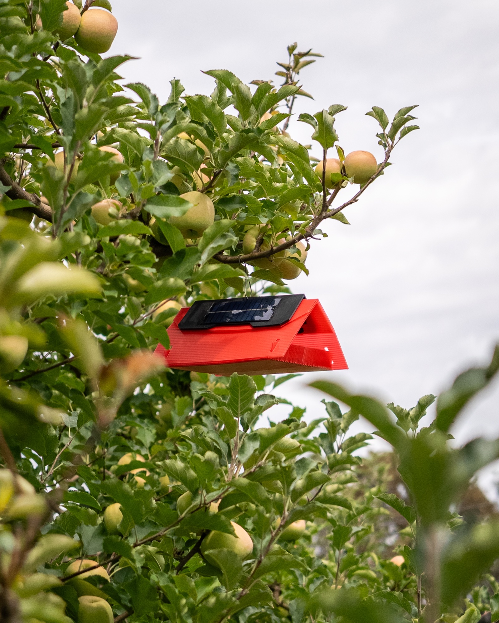 Second prototype installed in an apple production field