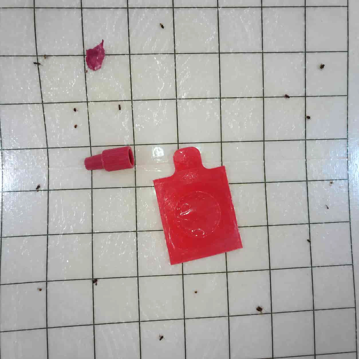 Foto del piso adhesivo sin recuadros; se ven insectos que no son la polilla buscada