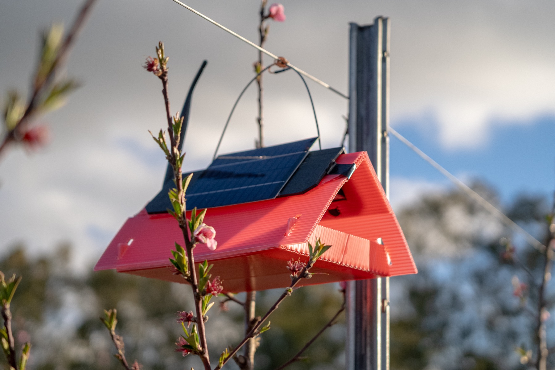 Detalle de la trampa delta con el panel solar y la antena